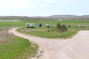 Birding Trail Estuary