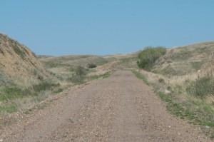 Track Bed Estuary