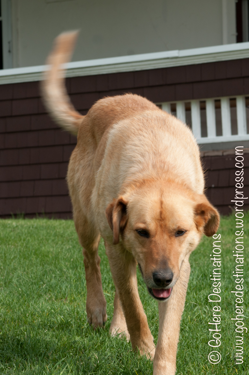 Historic Reesor Ranch | GoHere Destinations