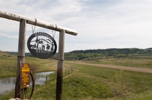 Historic Reesor Ranch Gate