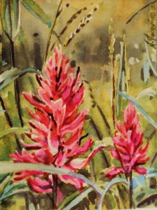 Photo 2 Red Paintbrush by N.Jacquin copyright 2012 watercolour
