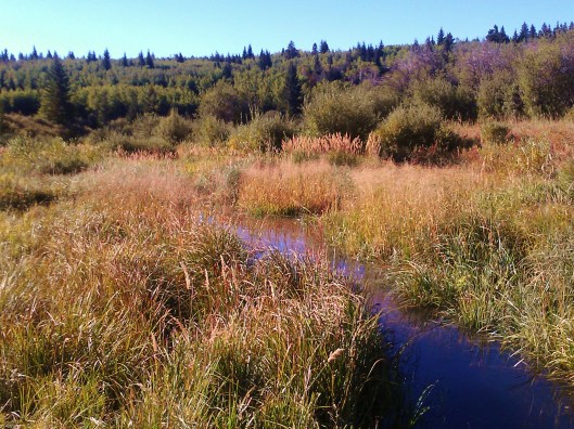 Photo 7 In a Valley by a Meandoring Brook photo N.Jacquin copyright 2012
