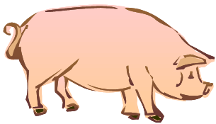 Pig Spleen Prognostication