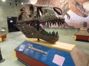 T-Rex Discovery Centre Eastend