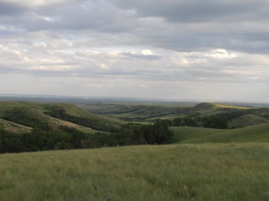 Grasslands National Park
