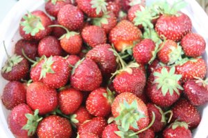 Treasure Valley Market