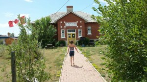 Prairie Wind Silver Sage